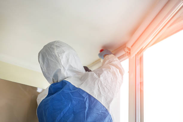 Best Residential Mold Inspection & Testing  in Indianola, WA